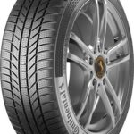 CONTINENTAL-TS-870 P FR 205/65 R17 96V