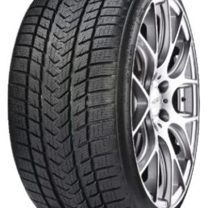 GRIPMAX-SUREGRIP PRO WINTER XL 215/50 R17 95V