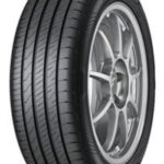 GOODYEAR-EFFI. GRIP PERF 2 205/55 R16 91H